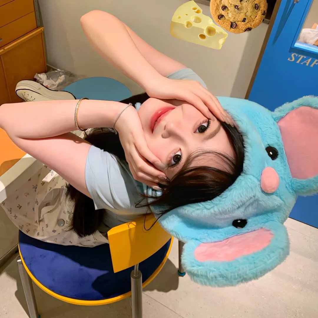 馨海蝶